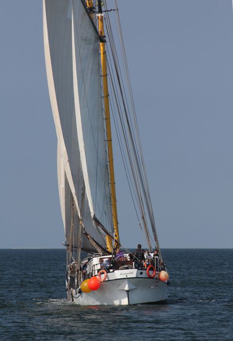 Actief — foto 3