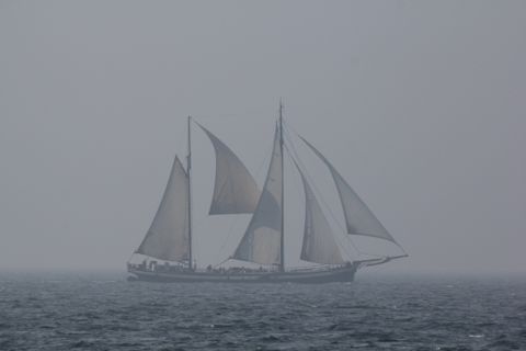 Avontuur