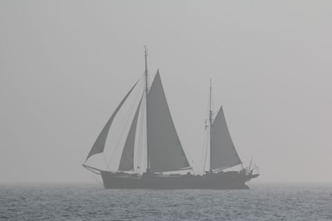 Dageraad — foto 2