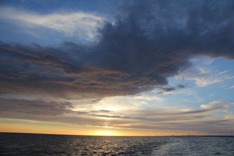 Droogvallen op het Wad — foto 2