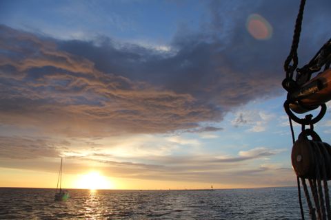 Droogvallen op het Wad — foto 4