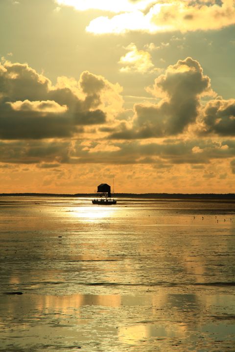 Droogvallen op het Wad — foto 7