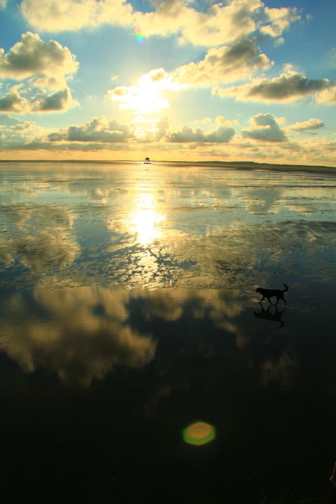 Droogvallen op het Wad — foto 10