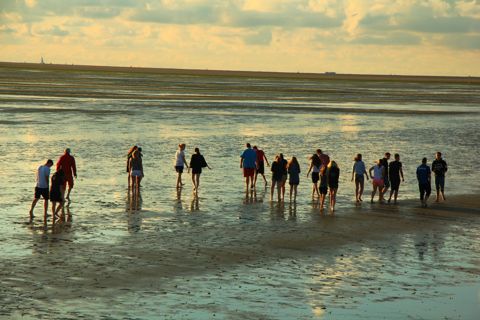 Droogvallen op het Wad — foto 15