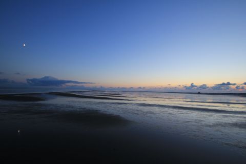 Droogvallen op het Wad — foto 20