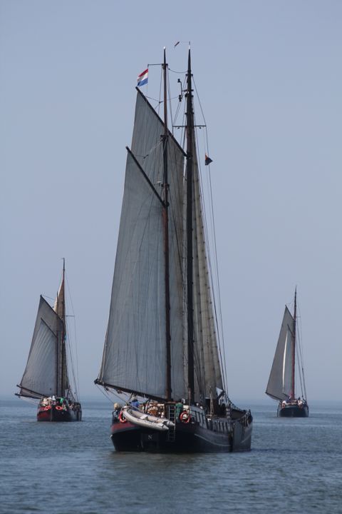 Eenhoorn — foto 4