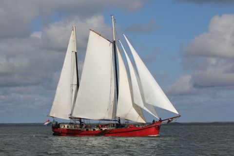 Mare Marieke