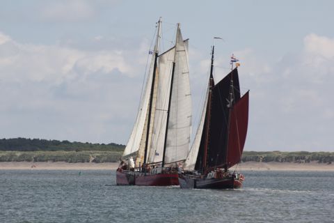 Mare Marieke — foto 4