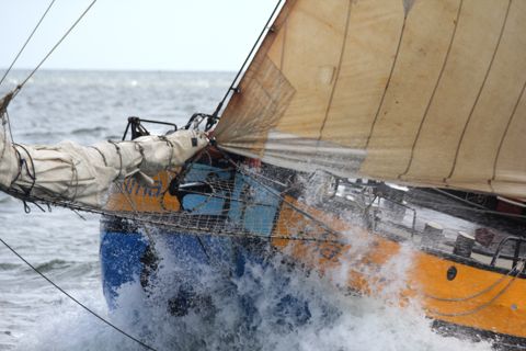Maxima — foto 2