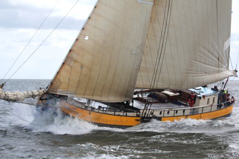 Maxima — foto 3