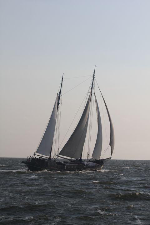 Pauwel Jonas — foto 3