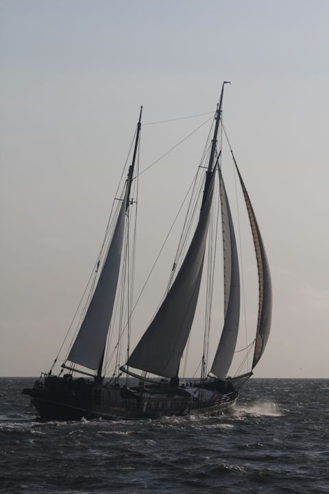 Pauwel Jonas — foto 5