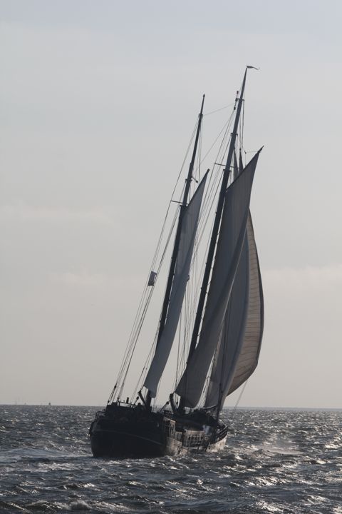 Pauwel Jonas — foto 11