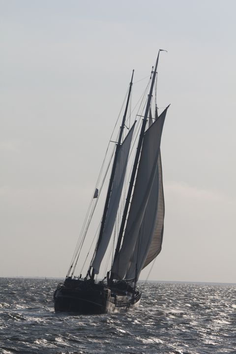 Pauwel Jonas — foto 12