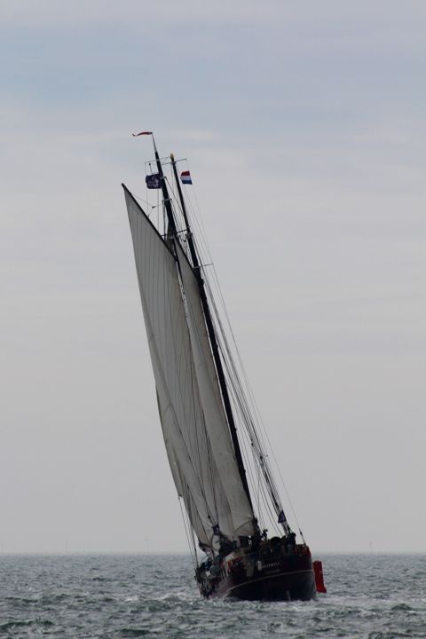 Waterwolf — foto 2