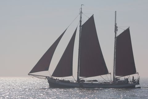 Westewind