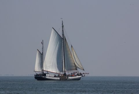 Zuid-Holland